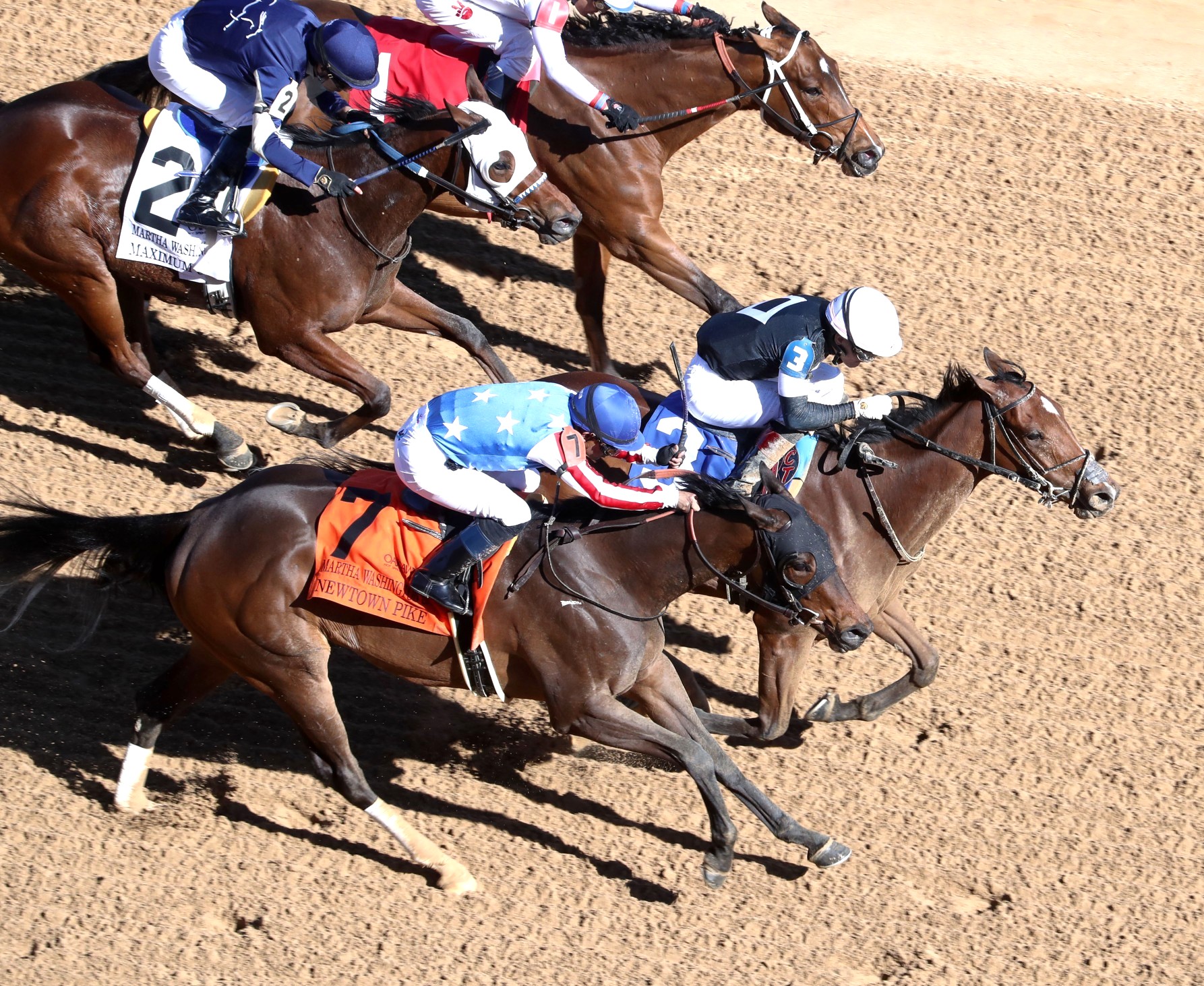 HIT WIN VICTORY II OF HORSE RACE 【公式通販】
